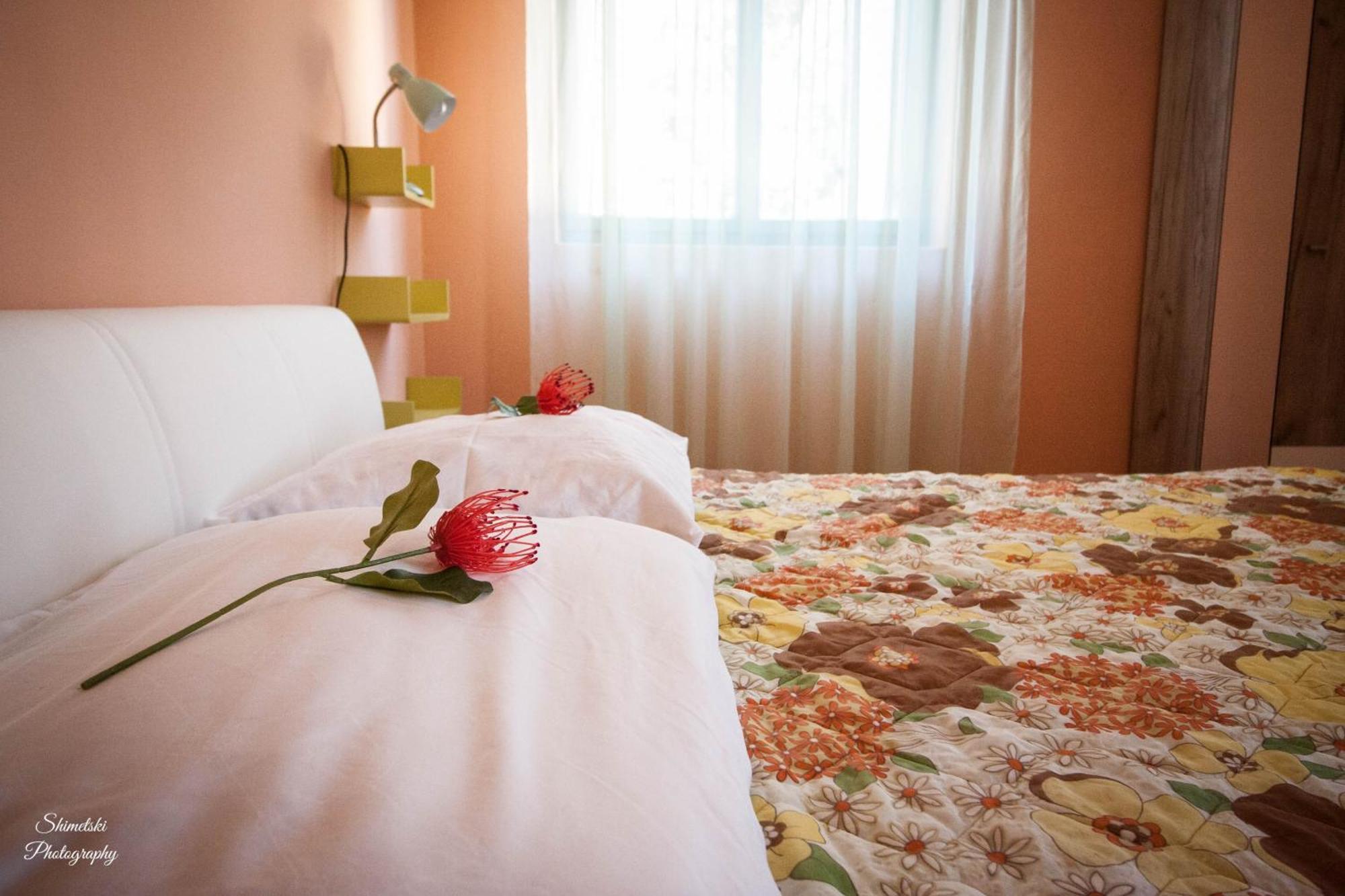 Apartments By The Sea Zavalatica, Korcula - 247 객실 사진